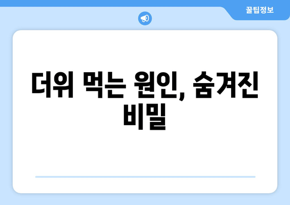 더위 먹는 원인, 숨겨진 비밀