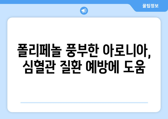 아로니아 추출물이 심혈관 건강에 미치는 영향| 연구 결과 및 효능 | 아로니아, 심혈관 질환, 건강, 항산화, 폴리페놀