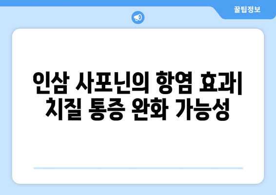 인삼 사포닌이 치질 통증 완화에 도움이 될까요? | 치질, 인삼, 사포닌, 통증 완화, 효능