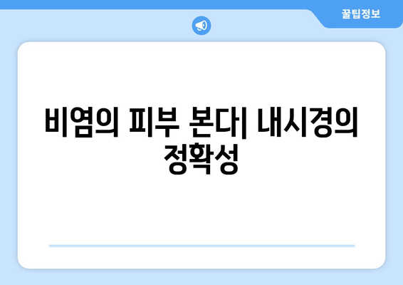 비염의 피부 본다| 내시경의 정확성