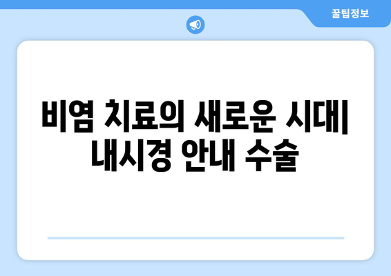 비염 치료의 새로운 시대| 내시경 안내 수술