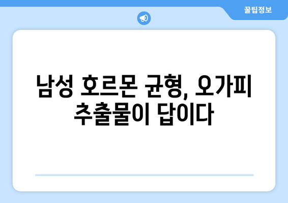 오가피 추출물, 호르몬 균형에 미치는 영향|  효능과 연구 결과 | 건강, 여성 건강, 남성 건강, 자연 건강 보조제