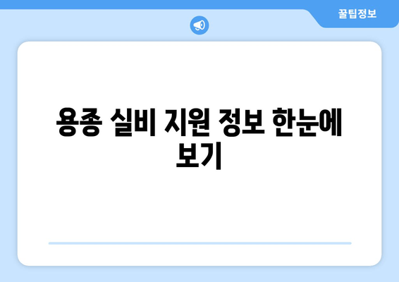 용종 실비 지원 정보 한눈에 보기