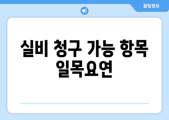 실비 청구 가능 항목 일목요연