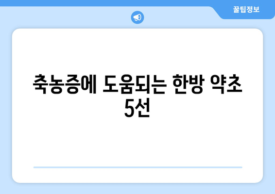 축농증에 도움되는 한방 약초 5선