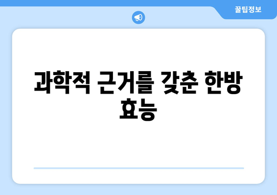 과학적 근거를 갖춘 한방 효능