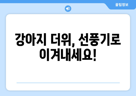 강아지 더위, 선풍기로 이겨내세요!