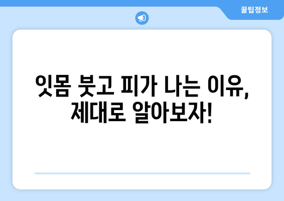 잇몸 붓고 출혈? 이제 걱정하지 마세요! 원인부터 치료법까지 완벽 해결 가이드 | 잇몸 건강, 염증, 치료