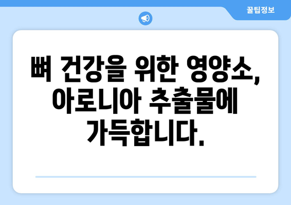 아로니아 추출물, 골 건강 증진에 효과적인 이유 | 아로니아, 골다공증, 건강, 영양