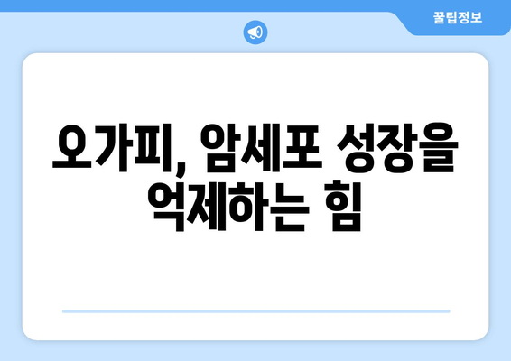 오가피 추출물의 항종양 활성| 새로운 연구 결과와 미래 전망 | 오가피, 항암 효과, 천연물, 암 치료