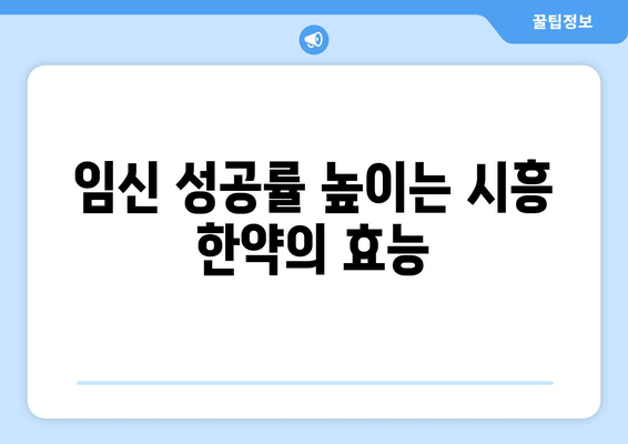 시흥에서 임신 준비, 한약으로 건강하게 시작하세요 | 임신, 한약, 시흥, 건강, 출산 준비