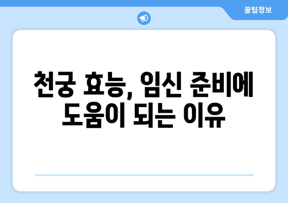 천궁, 임신 한약으로 배란 장애 극복하고 착상 성공률 높이기 | 천궁 효능, 임신 준비, 한약 처방