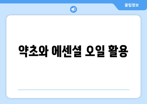 약초와 에센셜 오일 활용