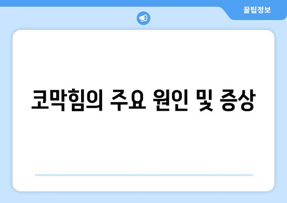 코막힘의 주요 원인 및 증상