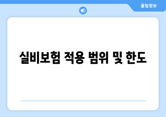 실비보험 적용 범위 및 한도