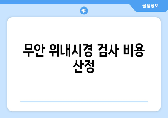 무안 위내시경 검사 비용 산정