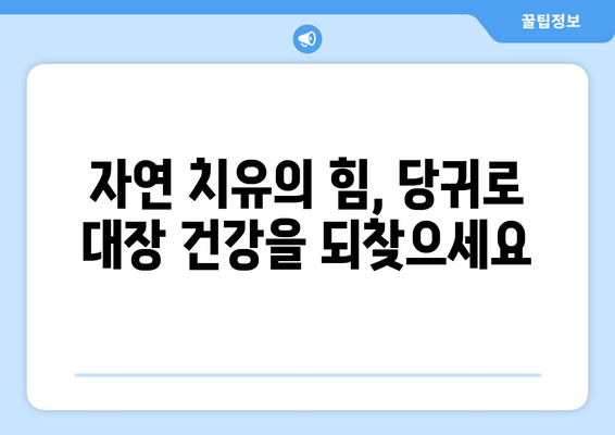 당귀| 대장 염증성 질환 증상 완화에 도움이 되는 소화계 보호제 | 건강, 소화기 건강, 자연 치유