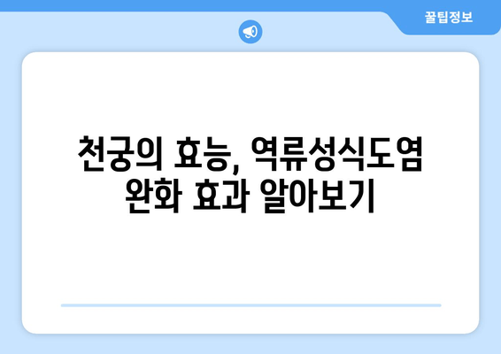 천궁, 역류성식도염 완화에 효과적인 한약? | 천궁 효능, 역류성식도염 증상 완화, 한약 처방