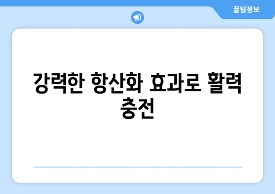 아로니아 추출물| 건강한 노화의 동맹자 | 항산화 효능, 면역력 강화, 피부 건강