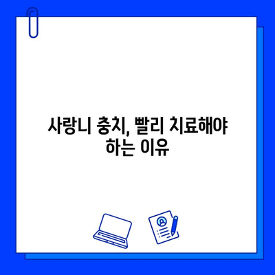 사랑니 충치 치료, 놓치지 말아야 할 특별한 점 5가지 | 사랑니, 충치, 치료, 주의사항, 팁