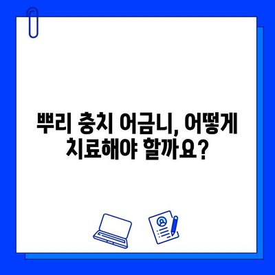 뿌리 충치 어금니 치료| 지르코니아 크라운 재치료 vs 임플란트 크라운 | 어금니, 뿌리 충치, 치료 옵션, 비교 분석