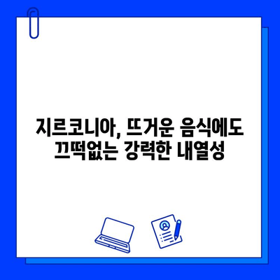 지르코니아 임플란트의 뛰어난 내열성| 온도 변화에 강한 이유 | 치과, 임플란트, 재료과학