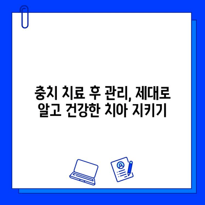 충치 증상별 맞춤 치료법 & 주의사항 완벽 가이드 | 충치, 치료, 예방, 관리