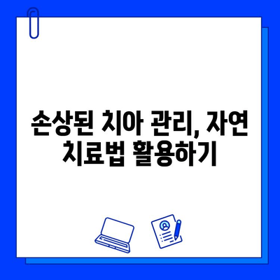 치아 손상, 자연 치료법으로 회복하세요! | 치아 건강, 천연 치료, 손상된 치아 관리