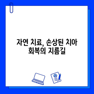 치아 손상, 자연 치료법으로 회복하세요! | 치아 건강, 천연 치료, 손상된 치아 관리