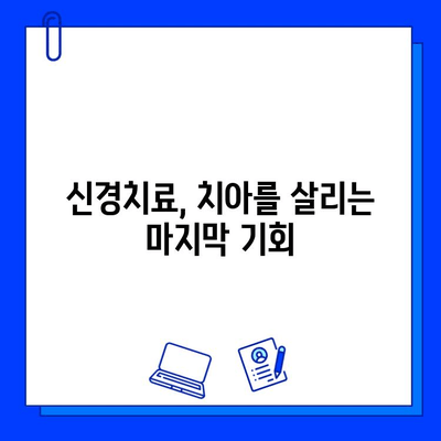 신경치료, 충치 치료의 마지막 보루| 필수 선택인 이유 | 충치, 치아 통증, 치과 치료