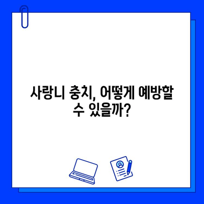 사랑니 충치, 왜 생길까? 원인 분석과 치료법 가이드 | 사랑니, 충치, 치료, 예방