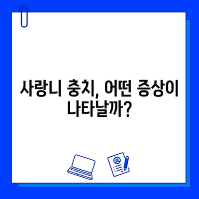 사랑니 충치, 왜 생길까? 원인 분석과 치료법 가이드 | 사랑니, 충치, 치료, 예방