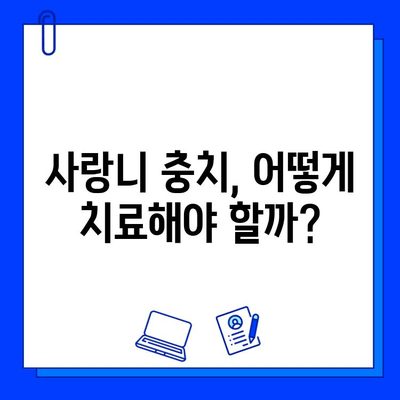 사랑니 충치, 왜 생길까? 원인 분석과 치료법 가이드 | 사랑니, 충치, 치료, 예방