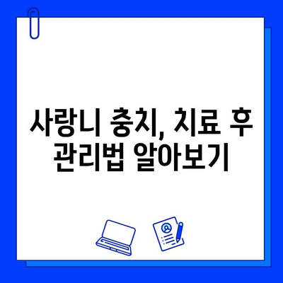 사랑니 충치, 왜 생길까? 원인 분석과 치료법 가이드 | 사랑니, 충치, 치료, 예방