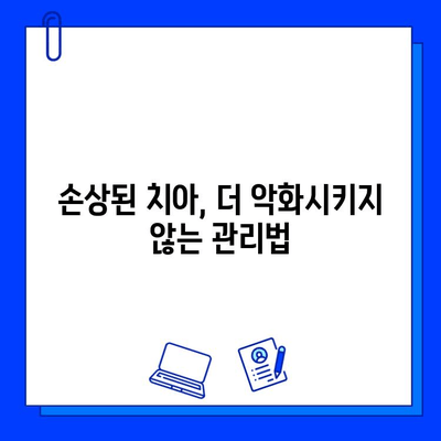 자연치아 손상, 어떻게 치료해야 할까요? | 자연치아 손상 치료 방법, 치과 치료, 치아 관리 팁