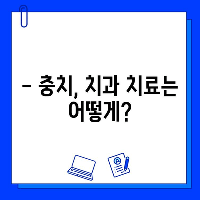 충치, 이제 걱정하지 마세요! 발생 원인과 증상, 예방법까지 한눈에 보기 | 치아 건강, 구강 관리, 치과