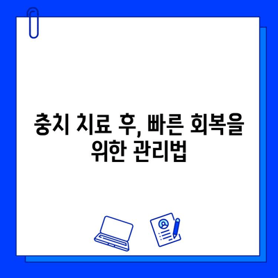 충치 치료 단계별 완벽 가이드| 치과 방문부터 회복까지 | 충치, 치료, 단계, 과정, 정보