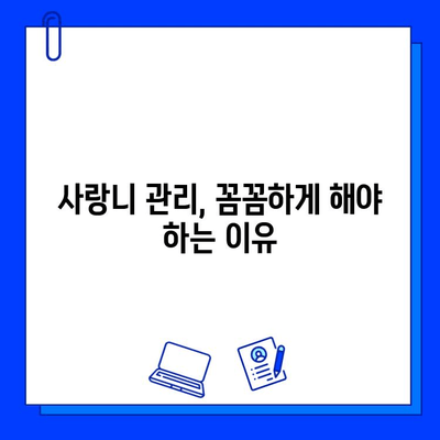 사랑니 충치, 걱정 마세요! 증상과 치료 방법 완벽 가이드 | 사랑니, 충치, 치료, 관리, 예방