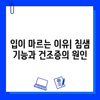 드라이 마우스와 충치| 증상 이해와 예방, 치료 위한 솔루션 | 구강 건강, 침샘 기능, 충치 예방, 치료 방법