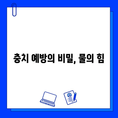 물로 충치 예방하는 5가지 방법 | 충치 예방, 구강 건강, 치아 관리