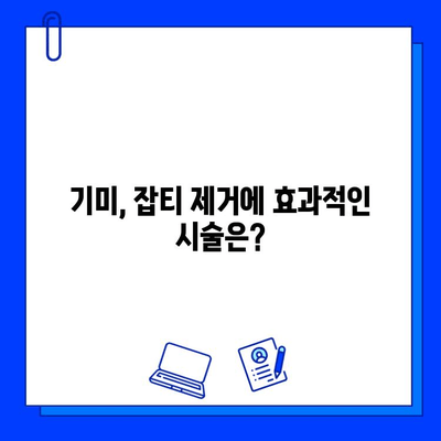 기미, 잡티 고민 해결! IPL과 레이저 토닝 치료 비교분석 | 기미, 잡티, 피부 개선, 시술, 효과, 비용