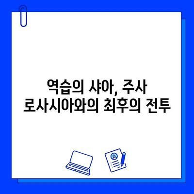 주사 로사시아와의 전쟁| 브이빔 레이저의 마무리 후기 | 기동전사 건담, 우주세기, 역습의 샤아, 뉴타입, 아무로 레이