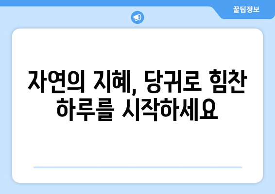 당귀| 빈혈과 피로, 자연의 지혜로 이겨내는 방법 | 건강, 혈액순환, 피로회복, 천연치료