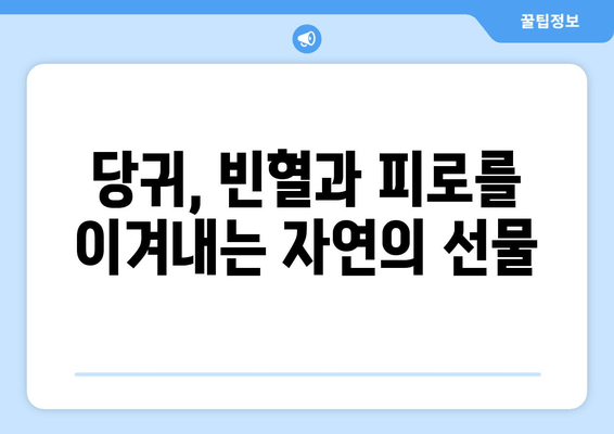 당귀| 빈혈과 피로, 자연의 지혜로 이겨내는 방법 | 건강, 혈액순환, 피로회복, 천연치료