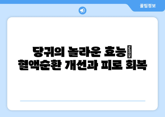 당귀| 빈혈과 피로, 자연의 지혜로 이겨내는 방법 | 건강, 혈액순환, 피로회복, 천연치료