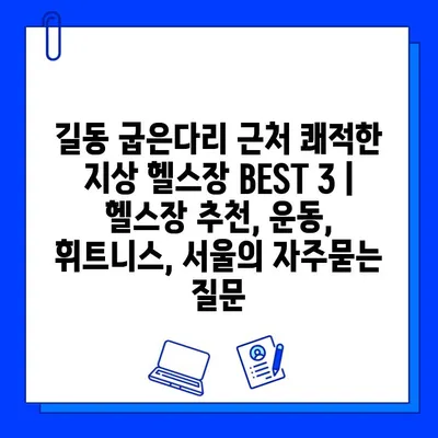 길동 굽은다리 근처 쾌적한 지상 헬스장 BEST 3 | 헬스장 추천, 운동, 휘트니스, 서울