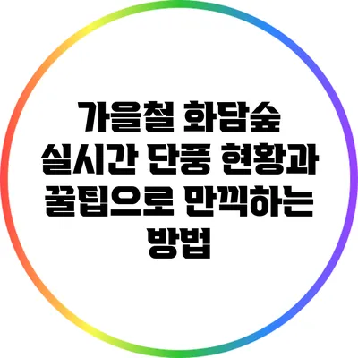 가을철 화담숲: 실시간 단풍 현황과 꿀팁으로 만끽하는 방법