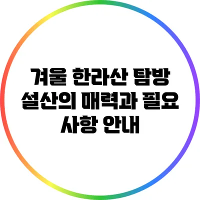 겨울 한라산 탐방: 설산의 매력과 필요 사항 안내