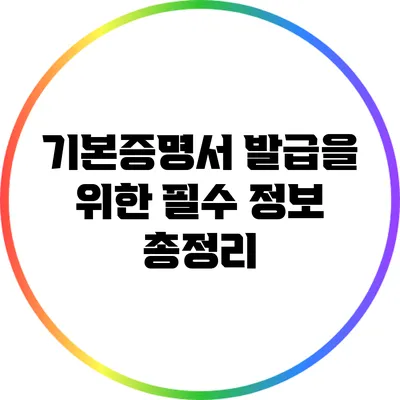 기본증명서 발급을 위한 필수 정보 총정리