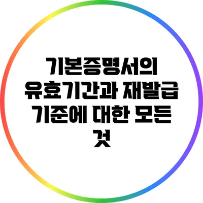 기본증명서의 유효기간과 재발급 기준에 대한 모든 것